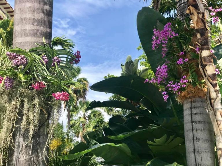 Fairchild Botanical Gardens Unveils New Exhibit on Lincoln Road Terranova